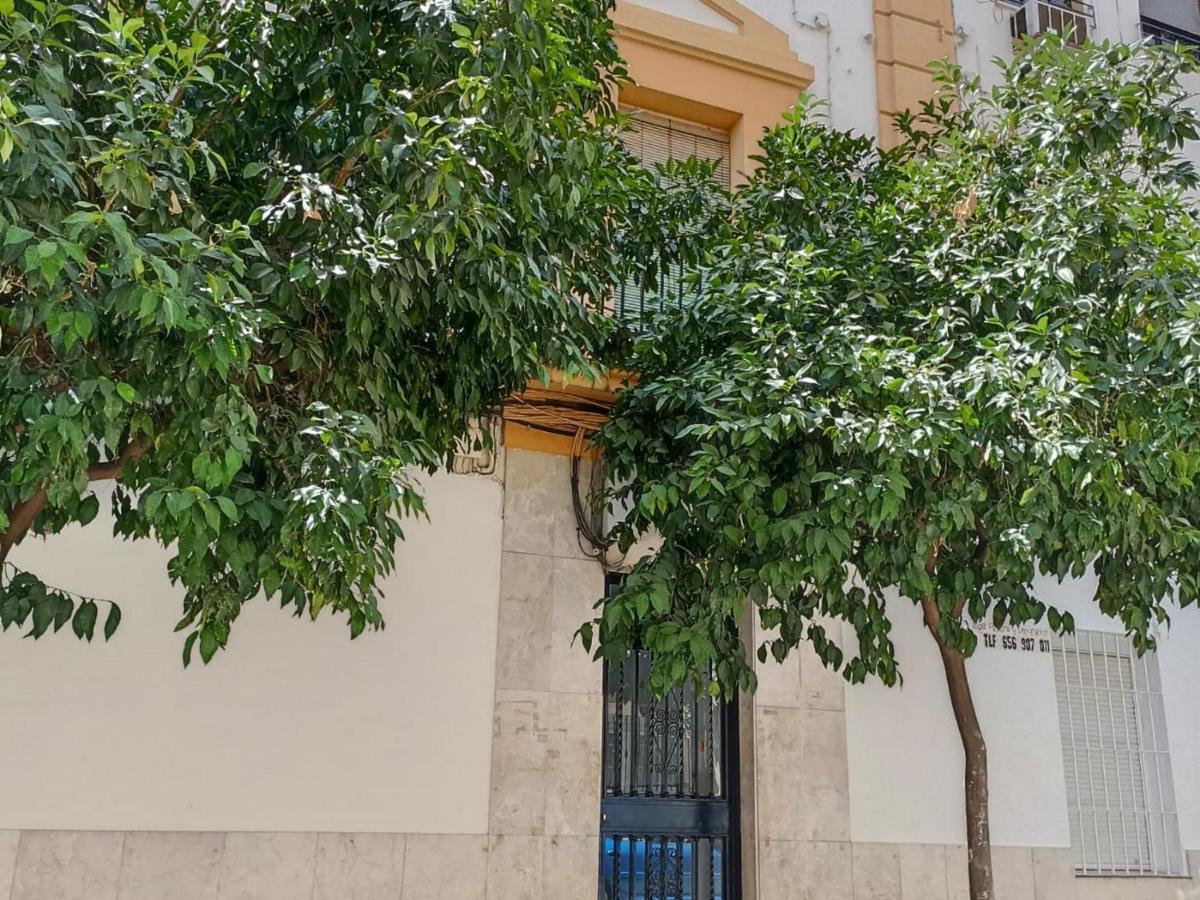 Modernos Apartamentos En Ciudad Jardin 科爾多瓦 外观 照片